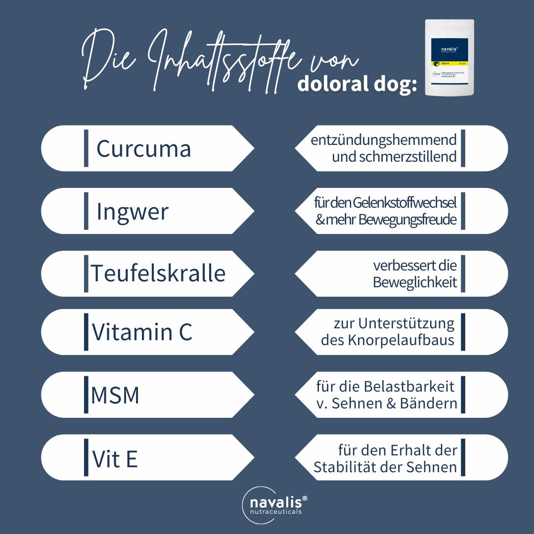 Ratgeber_Gelenke