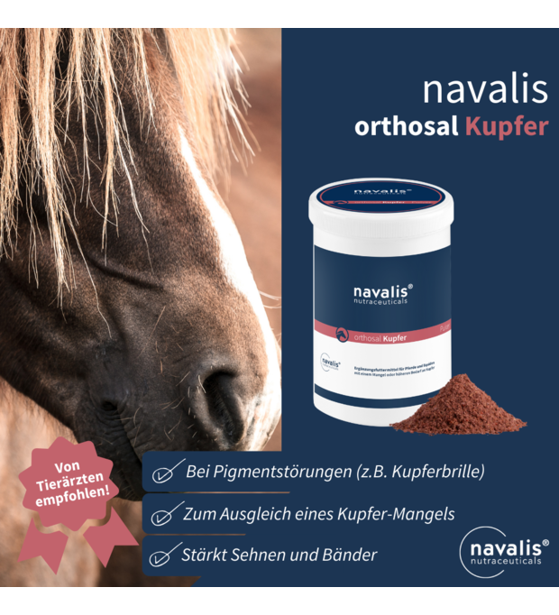 navalis orthosal Kupfer horse 1 kg Bild 2
