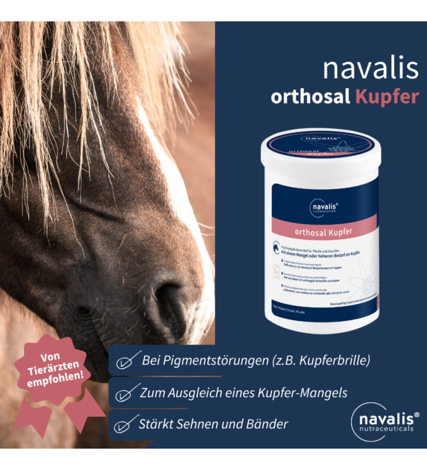 navalis orthosal Kupfer horse 1 kg Bild 2