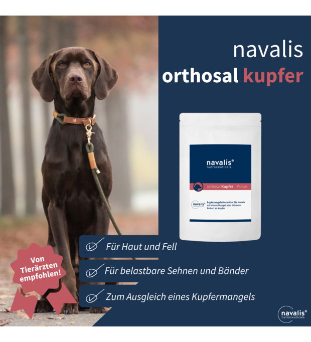 navalis orthosal Kupfer dog 150 g Bild 2