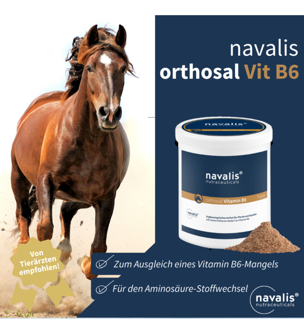 navalis orthosal Vitamin B6 horse 500 g Bild 2