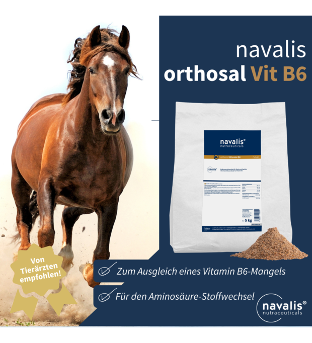 navalis orthosal Vitamin B6 horse 5 kg Bild 2