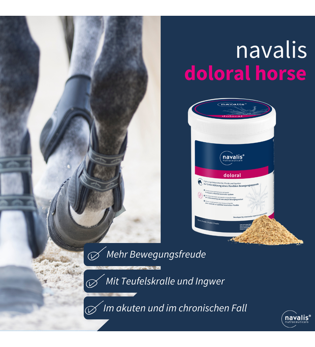 navalis doloral horse 1 kg Bild 2