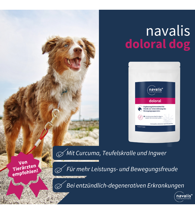 navalis doloral dog Pulver 160 g Bild 2