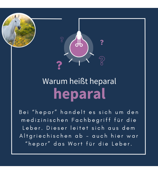 navalis heparal horse 1 kg Bild 2