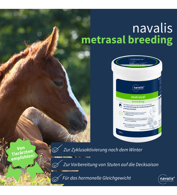 navalis metrasal breeding horse 1 kg Bild 2