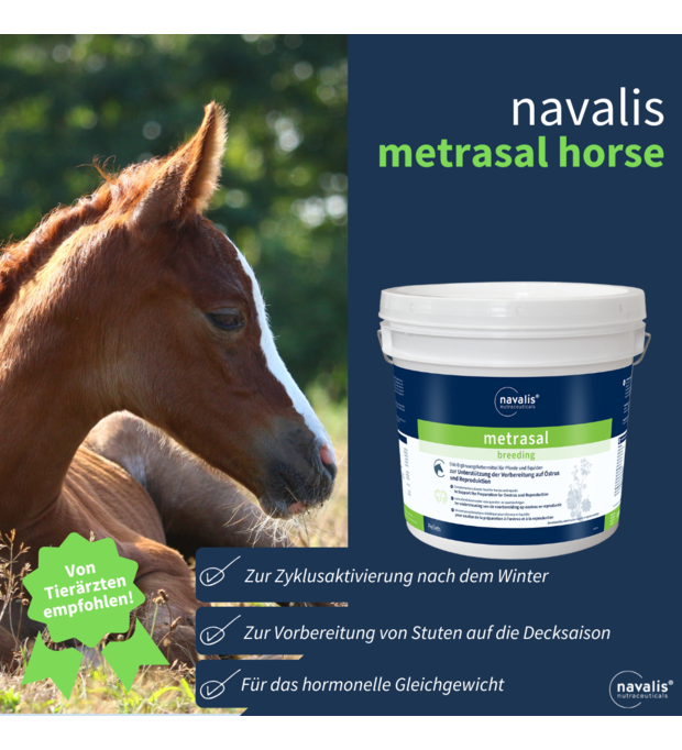 navalis metrasal breeding horse 2,5 kg Bild 2