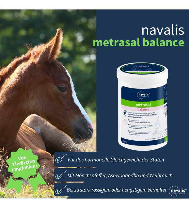 navalis metrasal balance horse 1 kg Bild 2