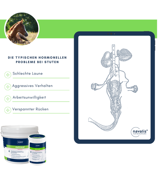 navalis metrasal balance horse 1 kg Bild 2