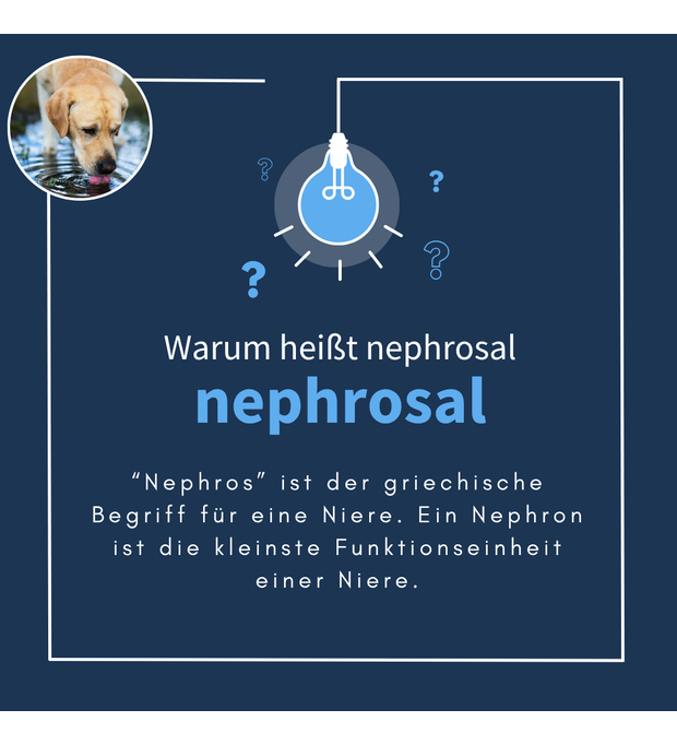 navalis nephrosal dog 300 g Bild 2