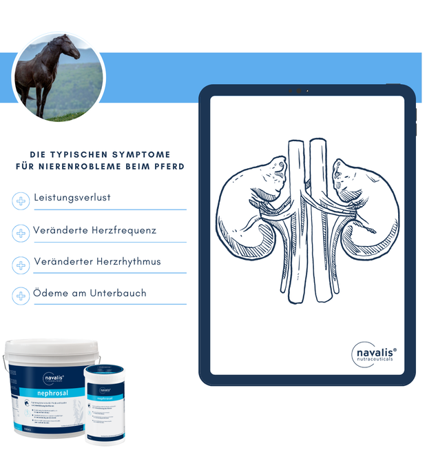 navalis nephrosal horse Pellets 850 g Bild 2