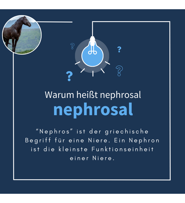 navalis nephrosal horse Pellets 850 g Bild 2