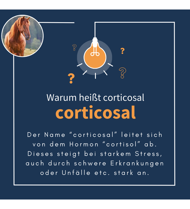 navalis corticosal horse Pellets 2 kg Bild 2