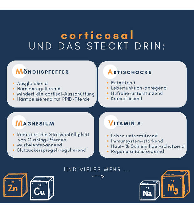 navalis corticosal horse 1 kg Bild 2