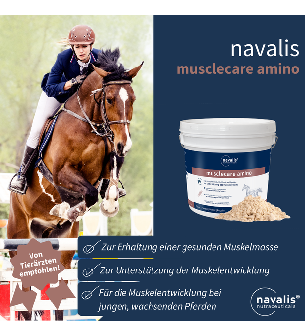 navalis musclecare amino horse 1,8 kg Bild 2