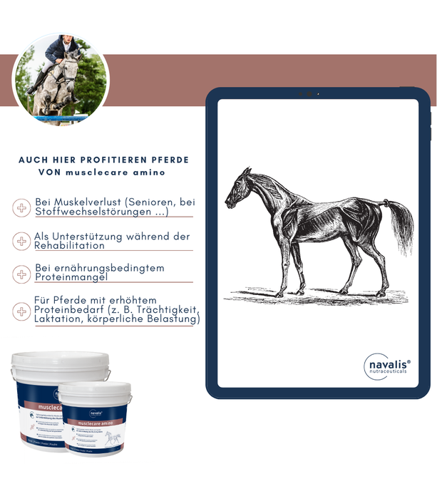 navalis musclecare amino horse 1,8 kg Bild 2