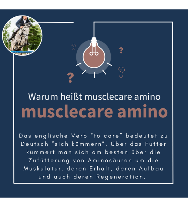 navalis musclecare amino horse 1,8 kg Bild 2