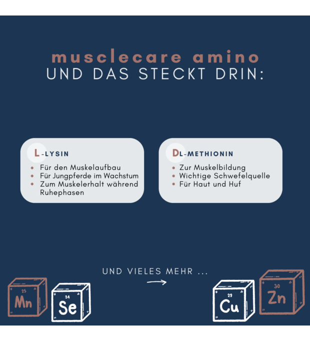 navalis musclecare amino horse 1,8 kg Bild 2