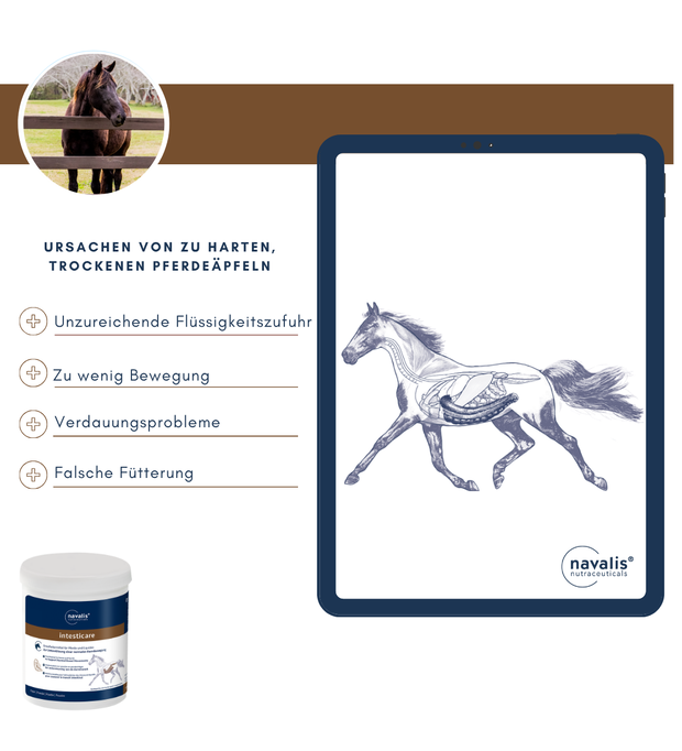 navalis intesticare horse 900 g Bild 2