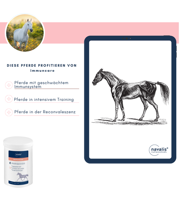 navalis immuncare horse Pulver 1,2 kg Bild 2