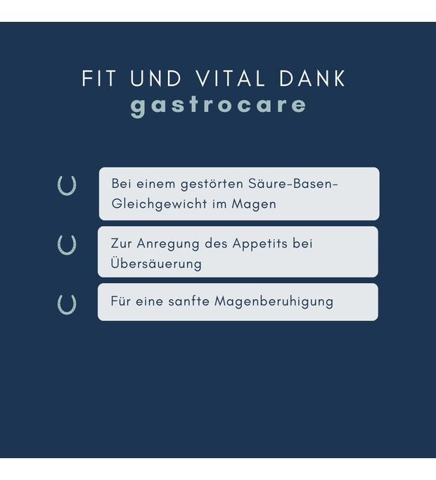 navalis gastrocare horse 1 Liter Bild 2