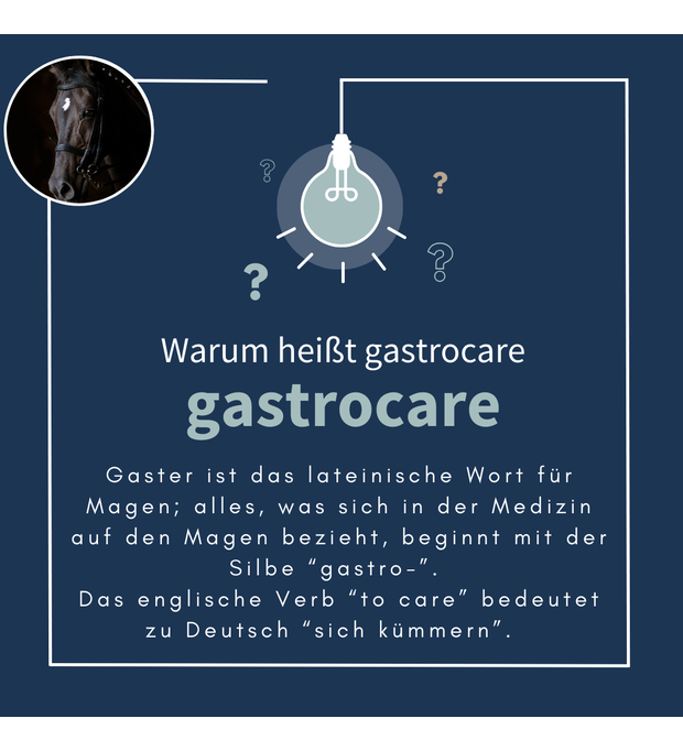 navalis gastrocare horse 1 Liter Bild 2