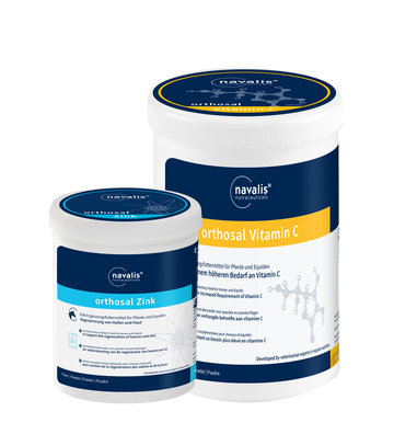 navalis Dreamteam Haut & Immunsystem horse